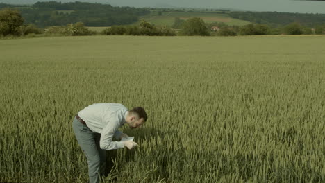 manager looking into wheat in field and making notes into notepad