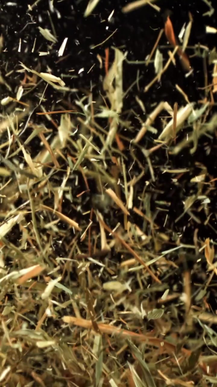 Dry Hay Falling in Slow Motion Against a Black Background