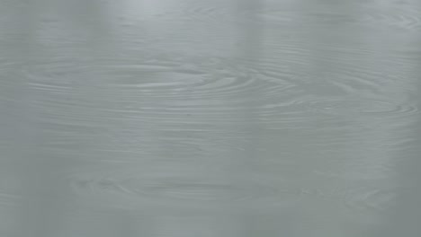 slow motion: heavy raindrops hitting a puddle, droplets exploding into the air on impact