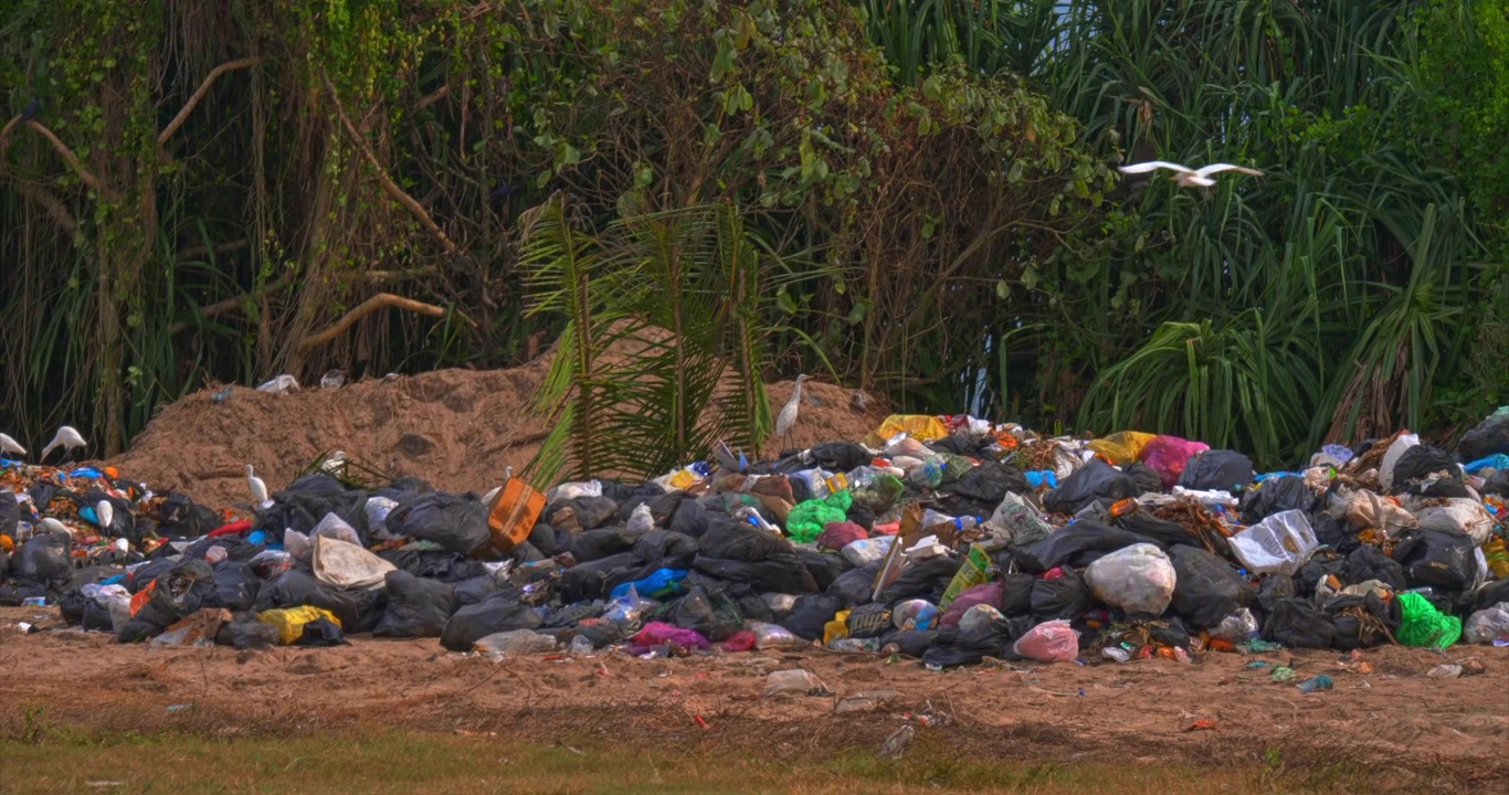 Static environmental scene shows plastic bags bottles and mixed garbage dumped near dense tropical vegetation highlighting pollution waste and ecology issues