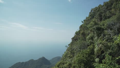 Aerial-view-of-a-very-dense-tropical-forest-on-top-of-asian-island