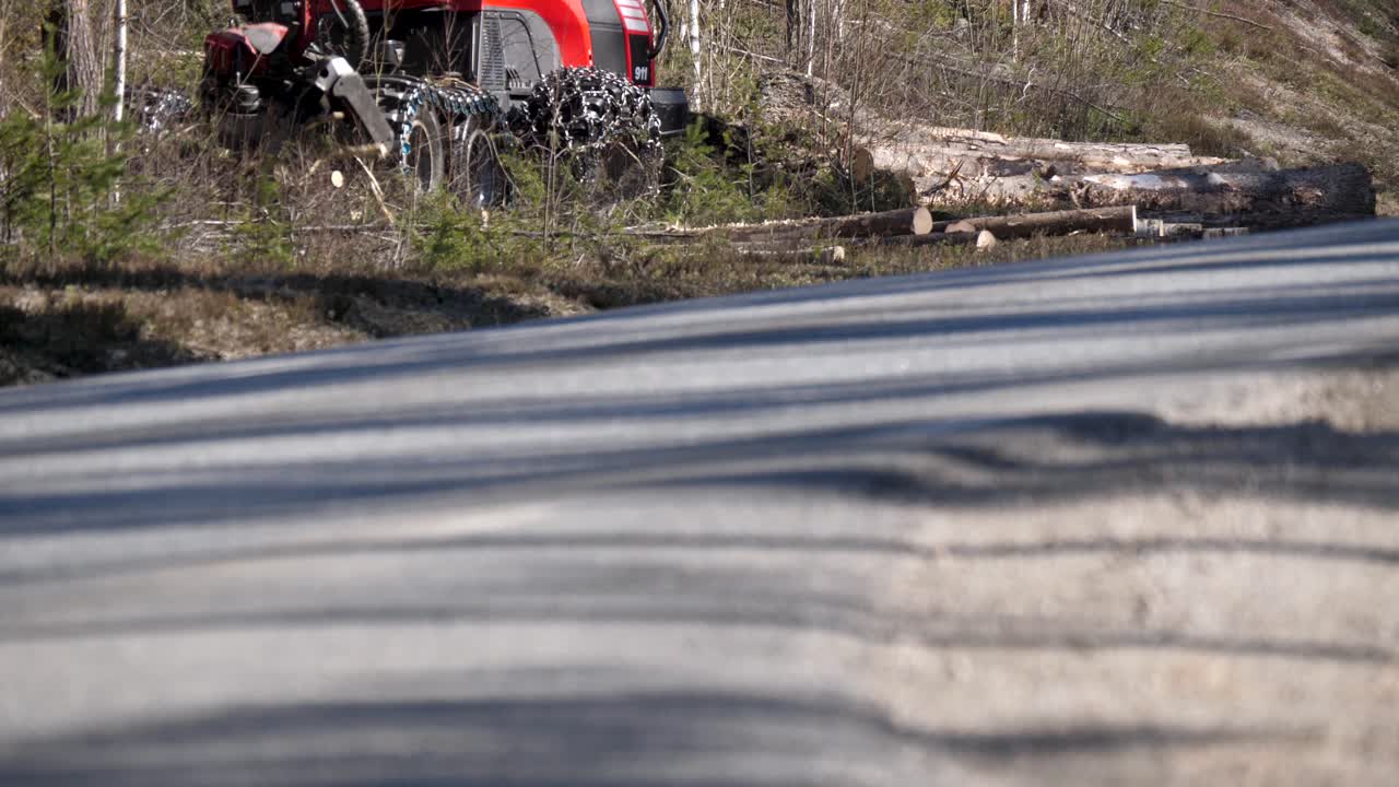 겨울 동안 장작을 모으기 위해 나무를 자르는 장비를 갖춘 전문 목수