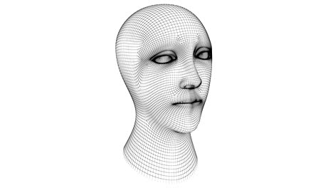 the mesh of a head. looping footage has 4k resolution.