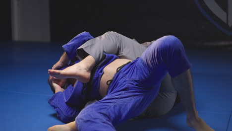 martial arts grappling training