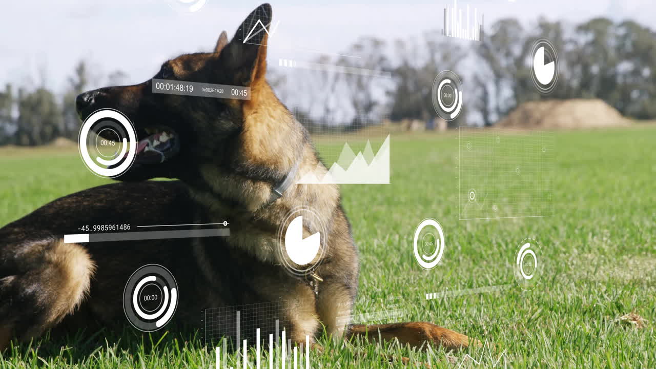 German Shepherd dog lying on grass receiving AR HUD data overlays in animated 3D render