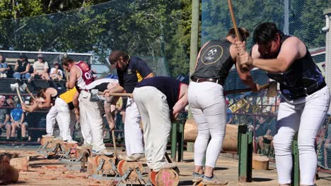 participants compete in wood chopping at a sunny event