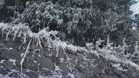 a stone wall on a winter's day