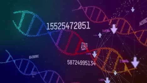 Animation-Von-DNA-Strängen,-Die-Sich-über-Die-Datenverarbeitung-Drehen