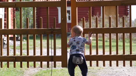 toddler opens gate and walks in garden