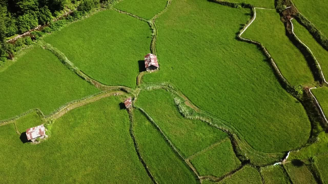cabaña en el campo cabaña de techo rojo en la plantación de arroz agricultura tradicional granjero trabaja en el campo de prado verde en el bosque montaña en irán paisaje de la naturaleza maravilloso drone disparado aéreo