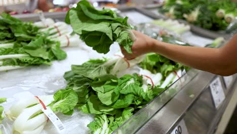 fresh bok choy display at grocery store