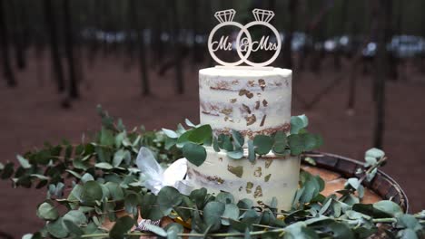 medium shot of wedding cake on a barrel with leaves