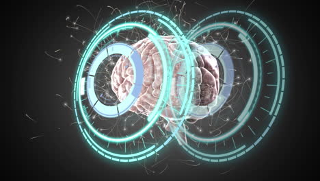 animation of scope scanning over digital brain on black background