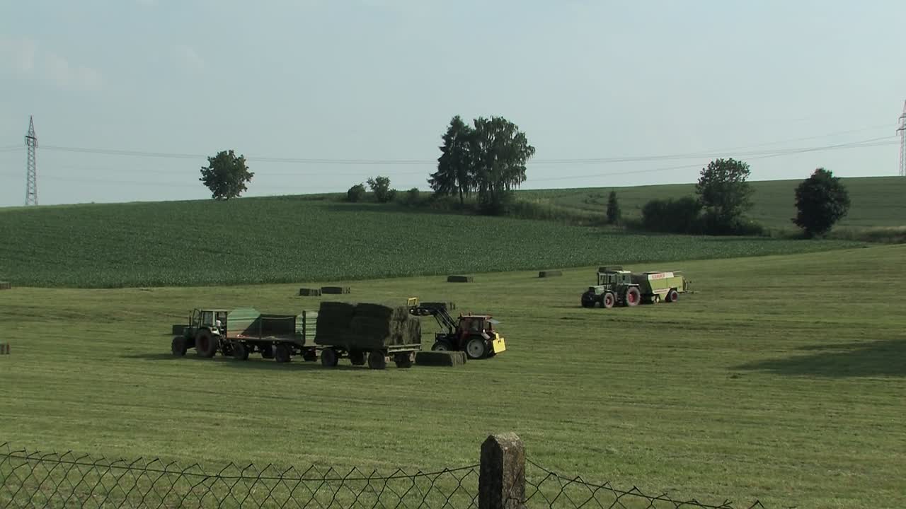 neuburg an der donau, 바이에른, 독일 근처 건초 수확