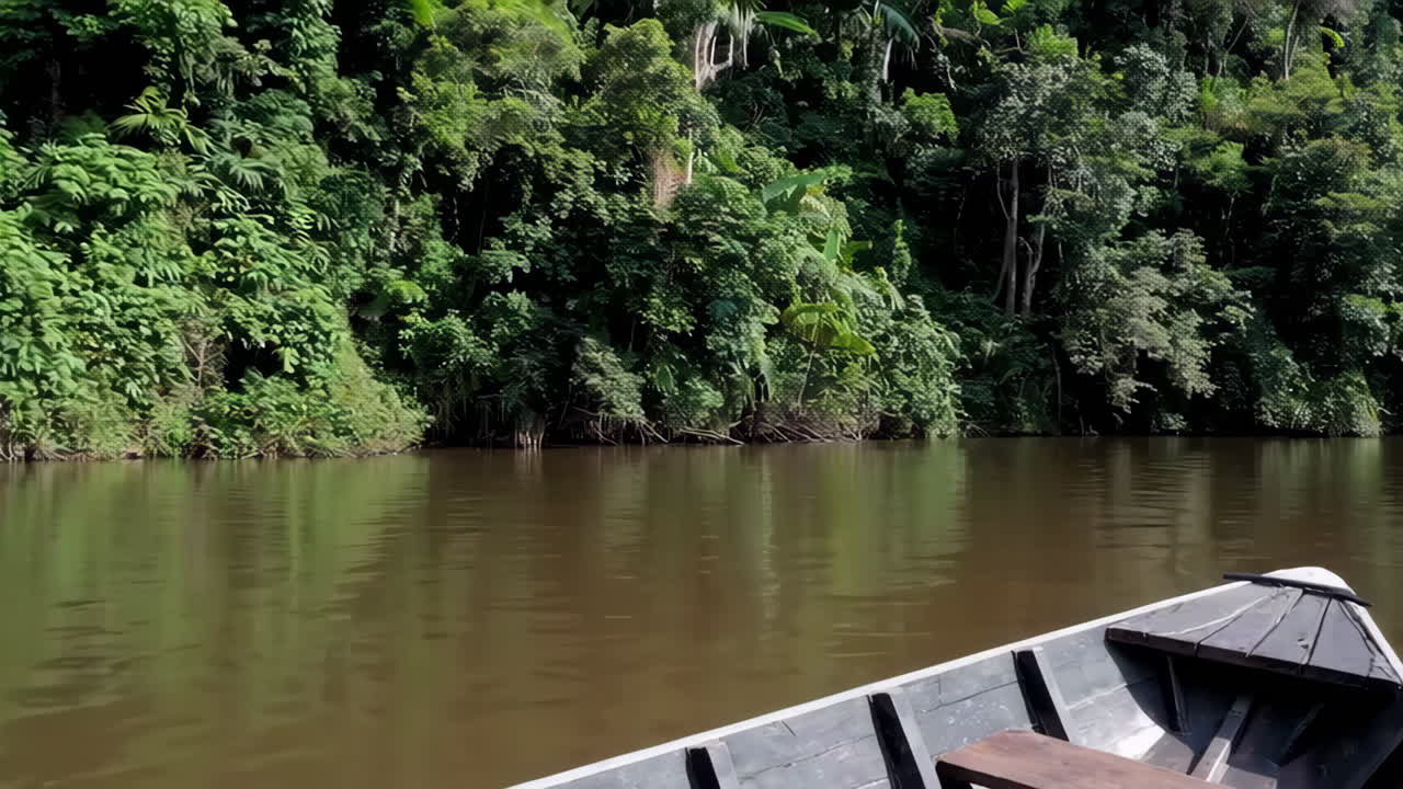 Amazon River Journey
