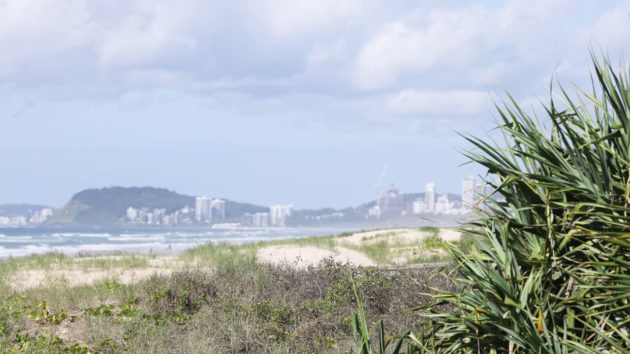 도시 스카이 라인과 식물과 함께 해안 풍경