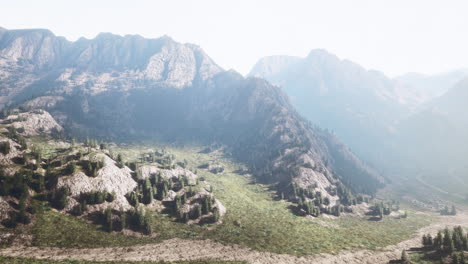 Alpes-Suizos-Con-Pradera-Alpina-Verde-En-Una-Ladera-Y-Rodeada-De-Bosques