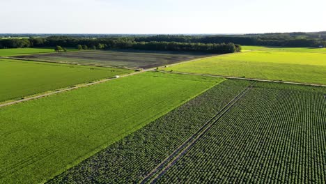 aerial view of agricultural fields