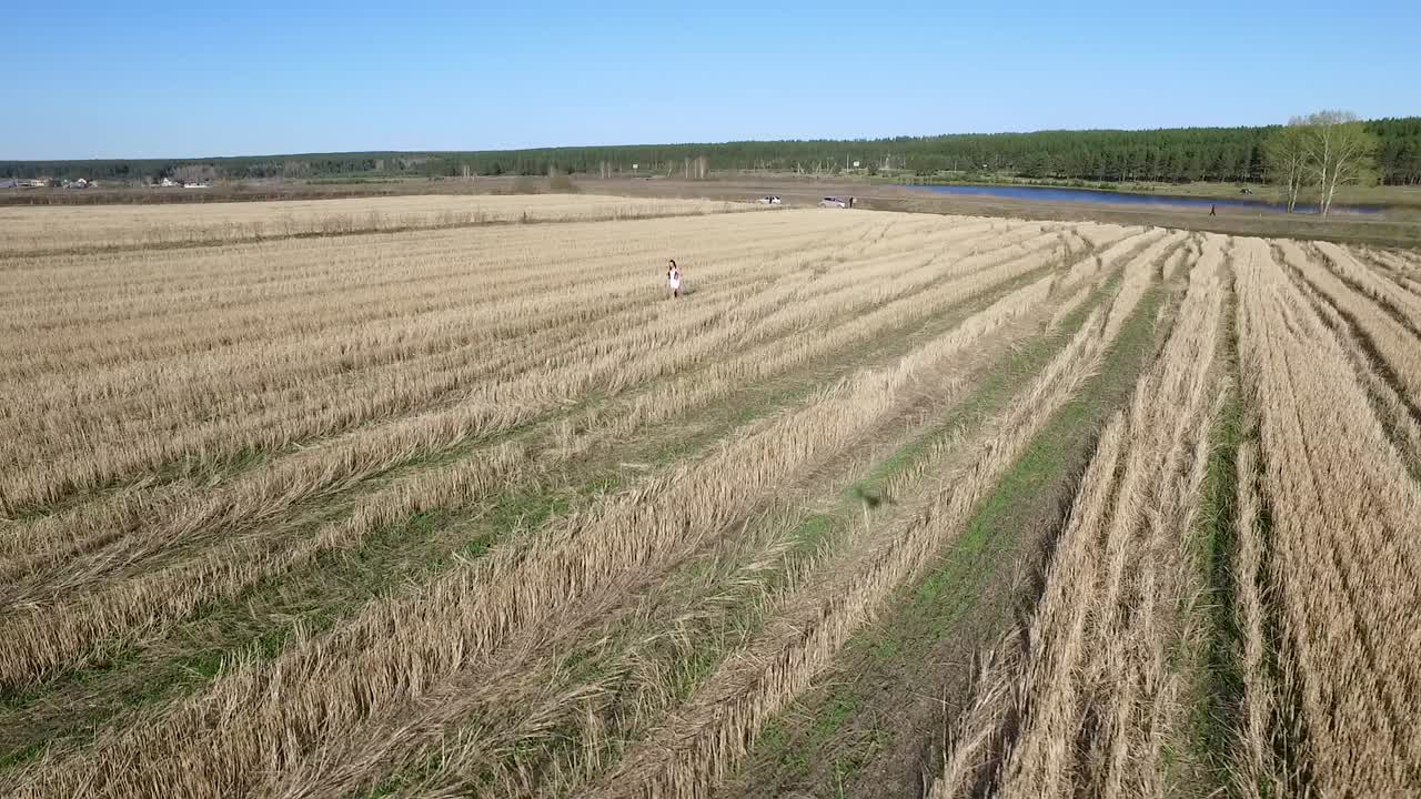 Person Walking Through a Harvested Wheat Field