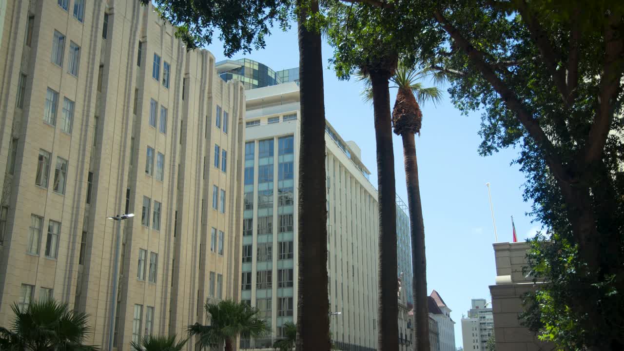 Edificio de oficinas beige dominando la calle del centro a la izquierda mientras las hojas de palma se mecen con la brisa, espacio para texto