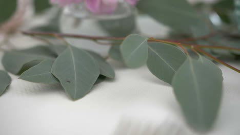 Wedding-decoration,-eucalyptus-branch-on-a-table