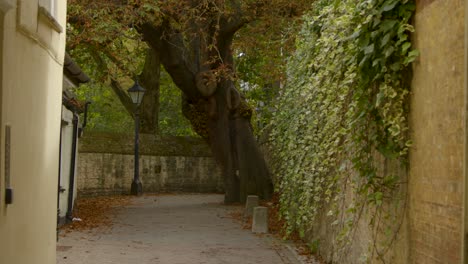 Wide-Shot-of-Woman-Walking-Down-Scenic-Alleyway-In-Oxford