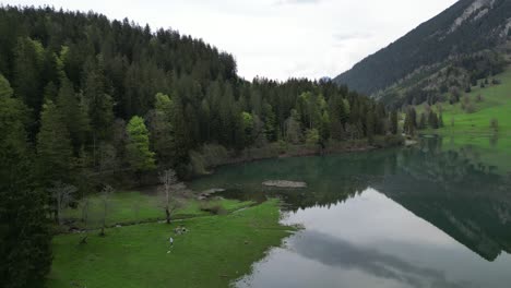 Aerial-footage-reveals-fairytale-like-Alpine-lush-green-forests,Switzerland