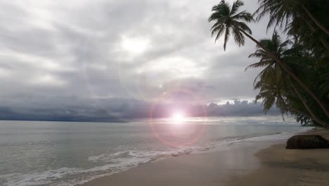 lens flare effect n bokeh sun light ray or sunbeam over palm tree beach with rain storm cloud