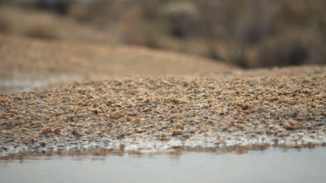 Die-Landschaft-Verwandelt-Sich,-Wenn-Unberührte-Wasserflächen-In-Sicht-Kommen,-Die-Den-Wüstenhimmel-Mit-Der-Ruhigen-Schönheit-Der-Josuabäume-Reflektieren