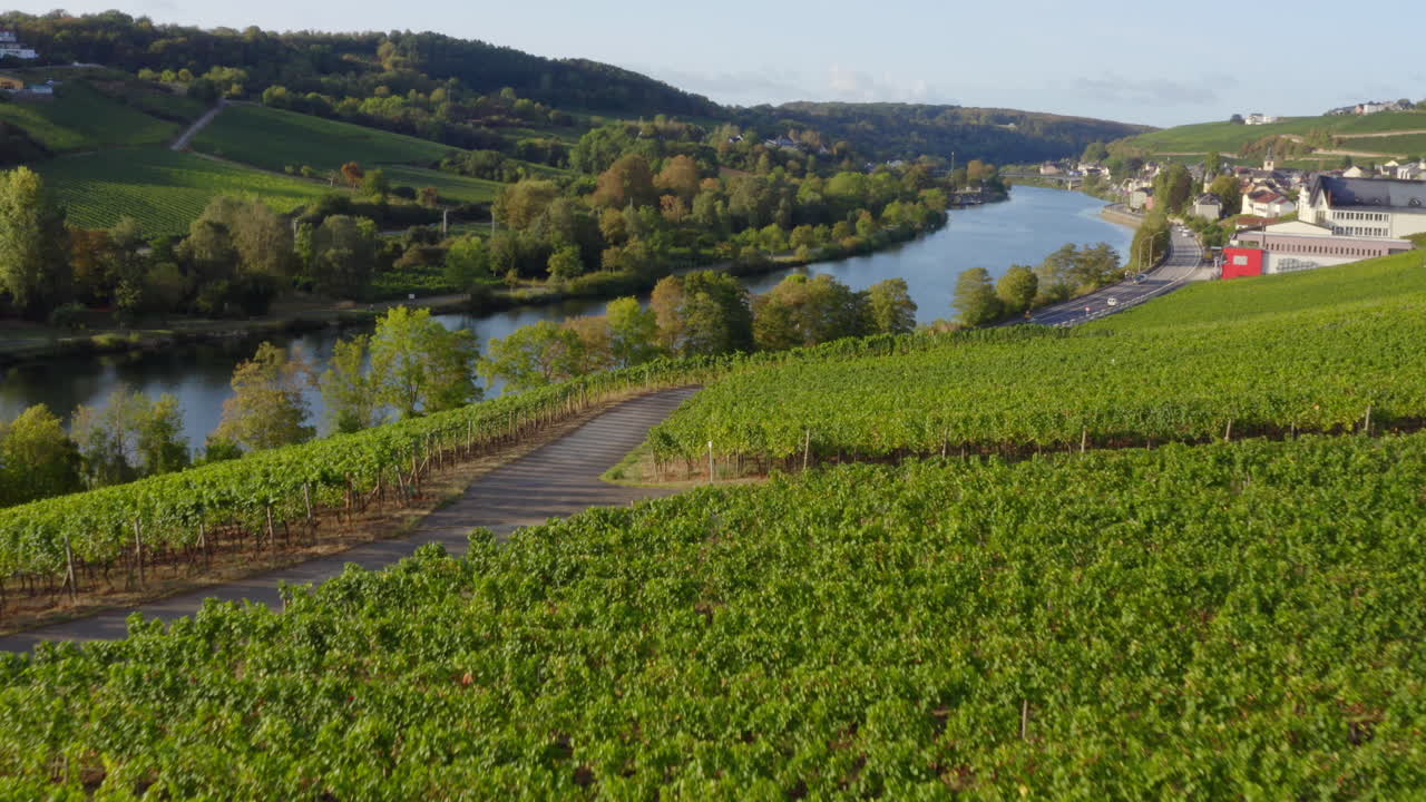 Dolci pendii di vigneti illuminati dalla luce soffusa della sera, sentieri tortuosi che conducono al fiume, una leggera foschia sulle colline lontane, atmosfera rurale tranquilla con calde luci