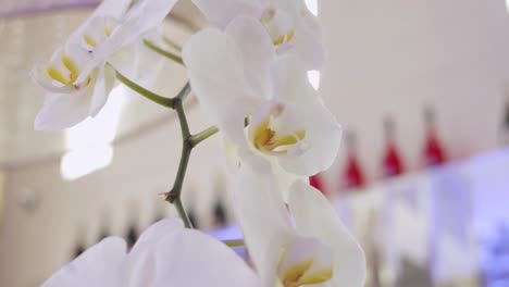 white flowers on a wedding event