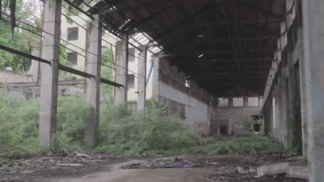 Looking-inside-from-the-windows-of-the-abandoned-factory