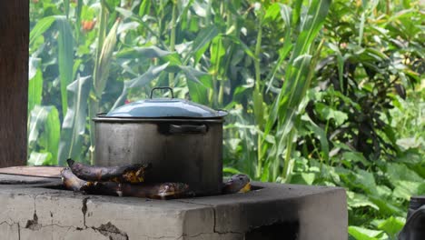 pot on stove in rural area with firewood and fire, food preparation