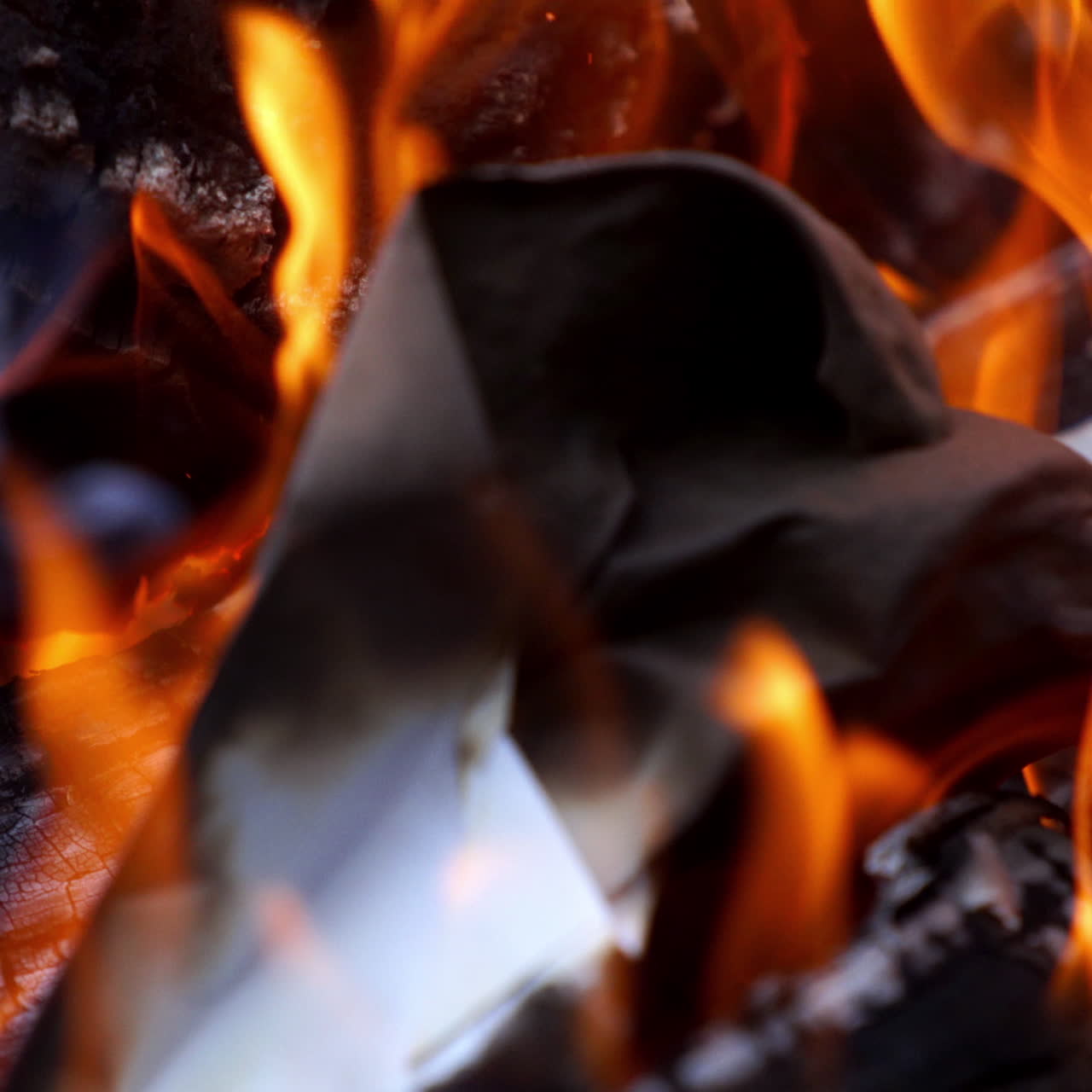 Bonfire. Burning logs in orange flames. Beautiful fire burns brightly. Embers of the fire climb up. Slow motion