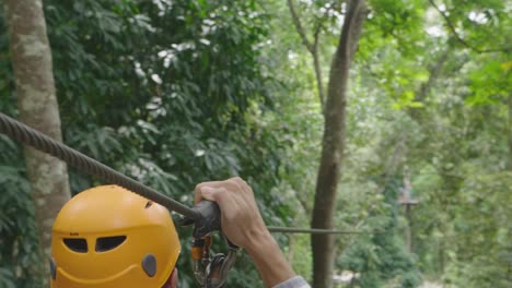 ziplining adventure through lush forest