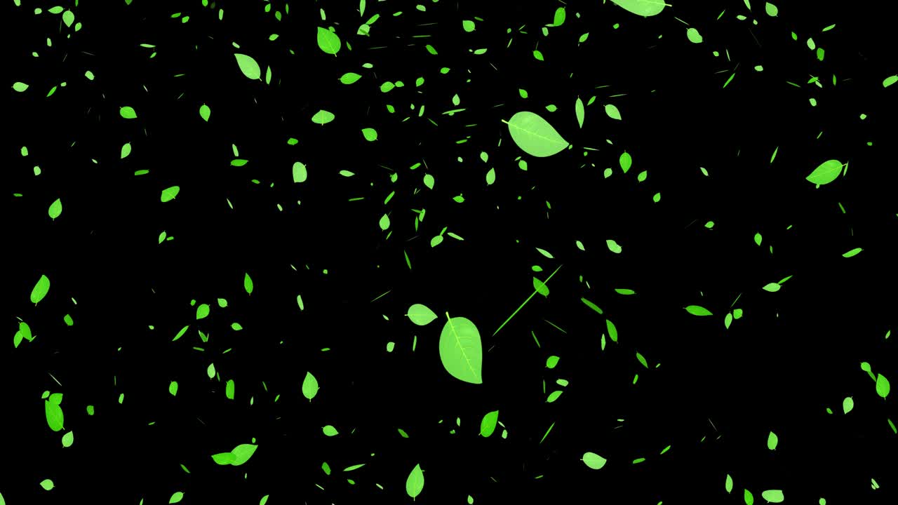 녹색 잎, 신선한 녹색, 떨어지는 입자, 모션 그래픽