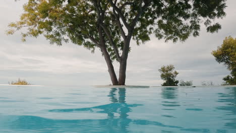 Toma-Baja-Sobre-Una-Piscina-Vacía,-Toma-Relajante-De-Vacaciones-Con-Inclinación-Hacia-El-Dosel-De-Los-árboles