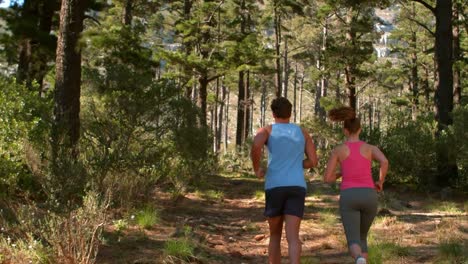 back view of couple couple jogging