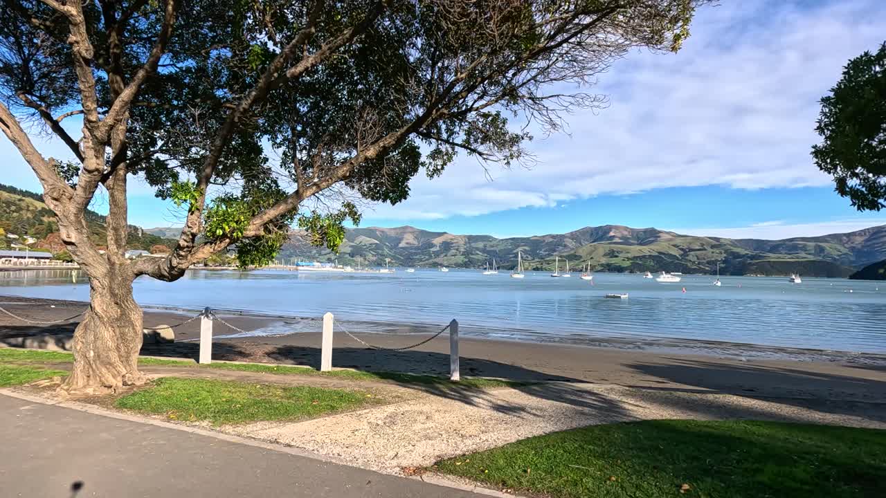 A serene drive captures Akaroa's waterfront with clear skies, lush trees, and tranquil waters in vibrant daylight