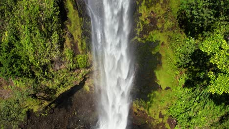 drone gimbal down revealing water falling of a cascade in the jungle of costa rica