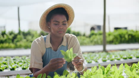 woman farmer inspecting plants in greenhouse