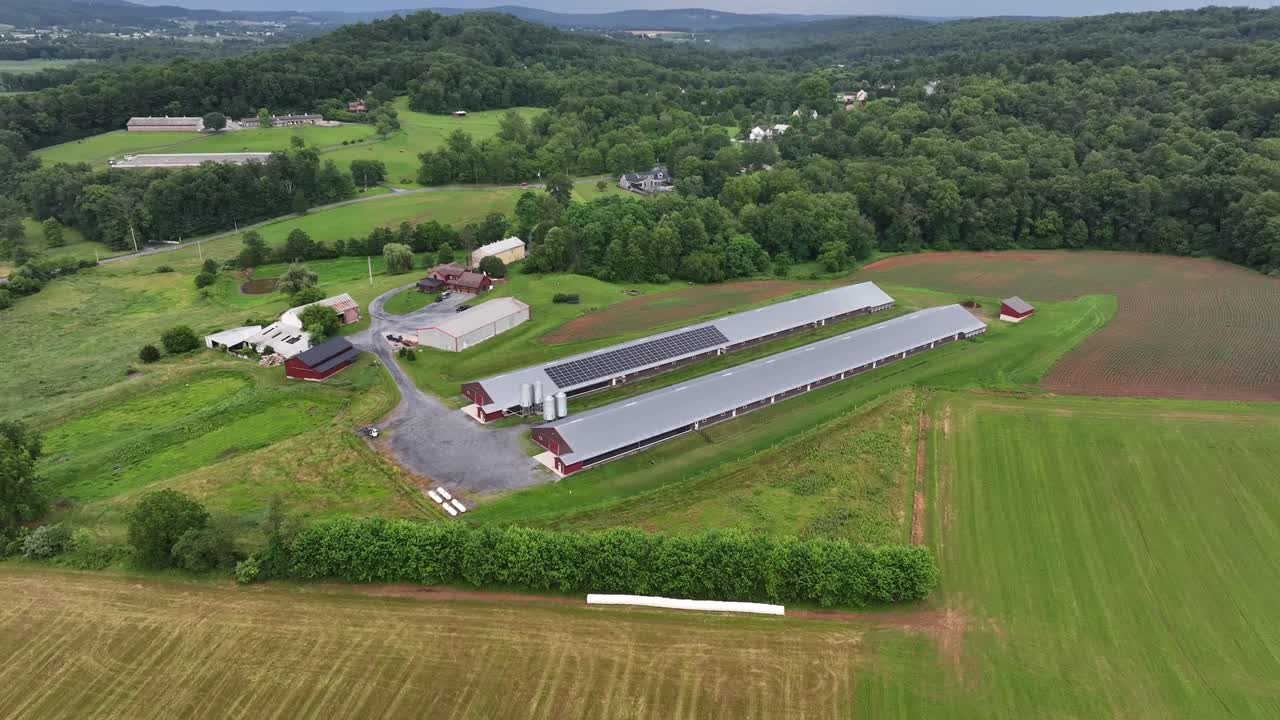 Aerial view of American farm with long barns, solar panels, silos and green fields. Modern agriculture infrastructure surrounded by rural countryside landscape