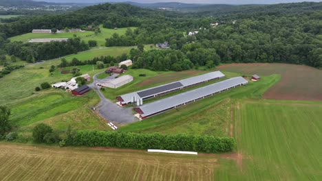 aerial view of american farm with long barns, solar panels, silos and green fields. modern agriculture infrastructure surrounded by rural countryside landscape