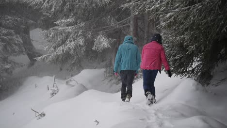 pareja caminando a través de una tormenta de nieve