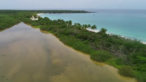 Aerial-view-of-Catalina-tropical-island-beach