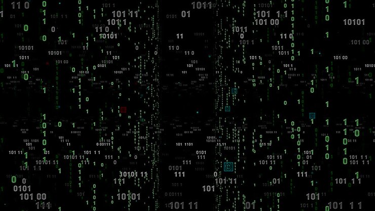Digital fly binary code background loop. Data binary code network. 4K loop animation. Green version.