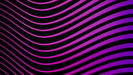 abstract colorful background with black and lilac waves flowing slowly, seamless loop. animation. bright wavy lines moving endlessly
