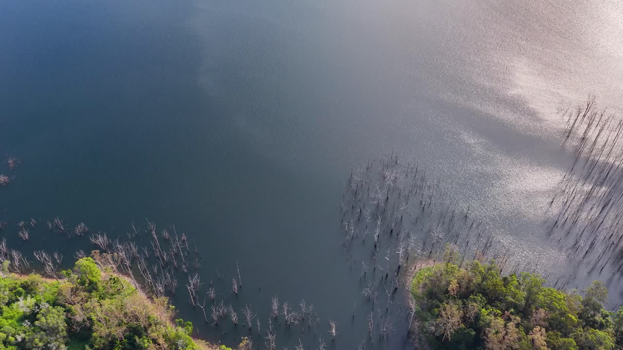 Drone glides above lush forest, wetland, and tranquil lake with sunlit water reflections