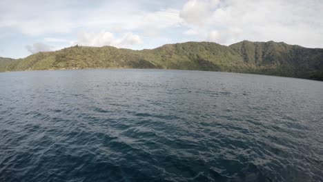 Eine-Herde-Flatternder-Sturmtaucher,-Die-Davonfliegen,-Auf-Dem-Wasser-Zu-Treiben