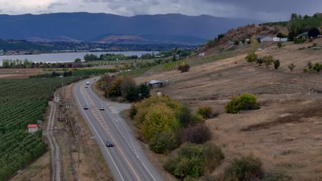 orchard harmony in british columbia's okanagan: a drone's perspective of apple tree rows